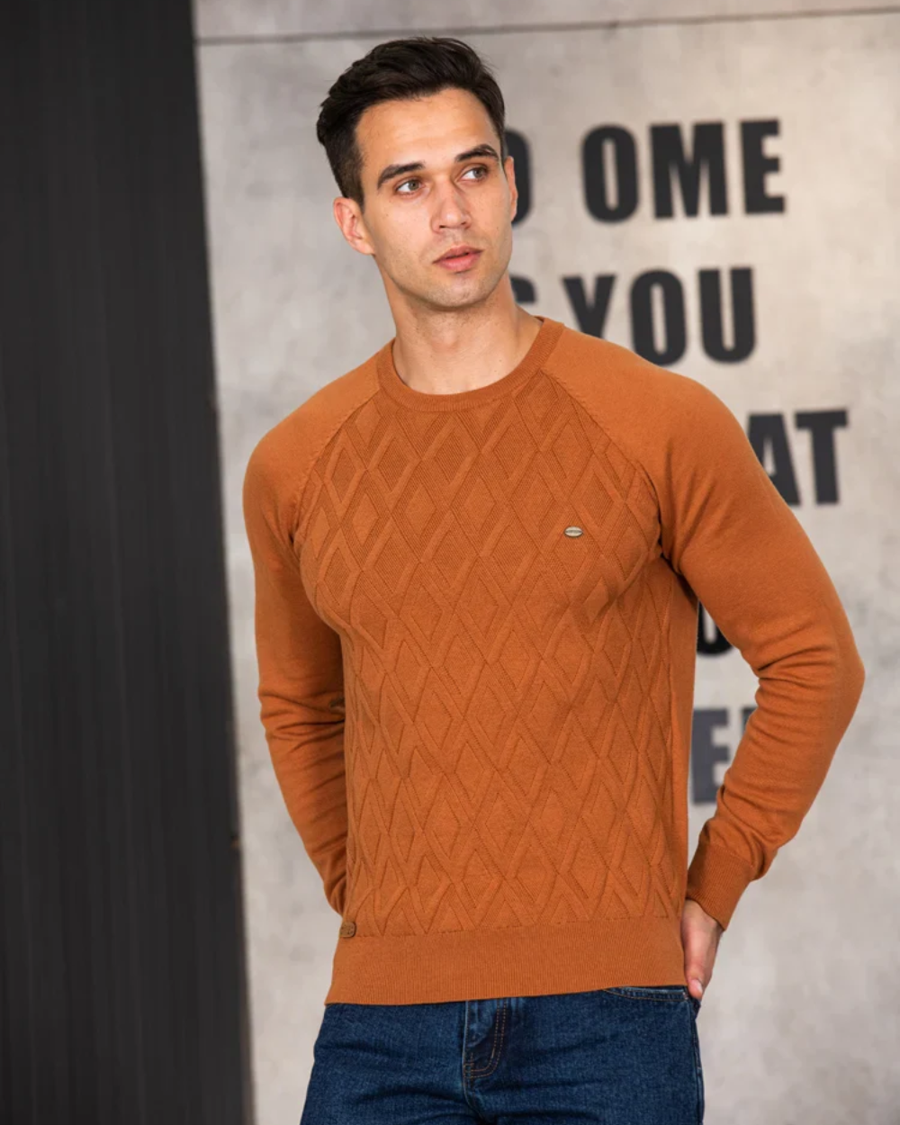 Heren Trui Met Geruit Design