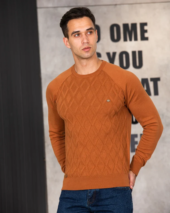 Heren Trui Met Geruit Design